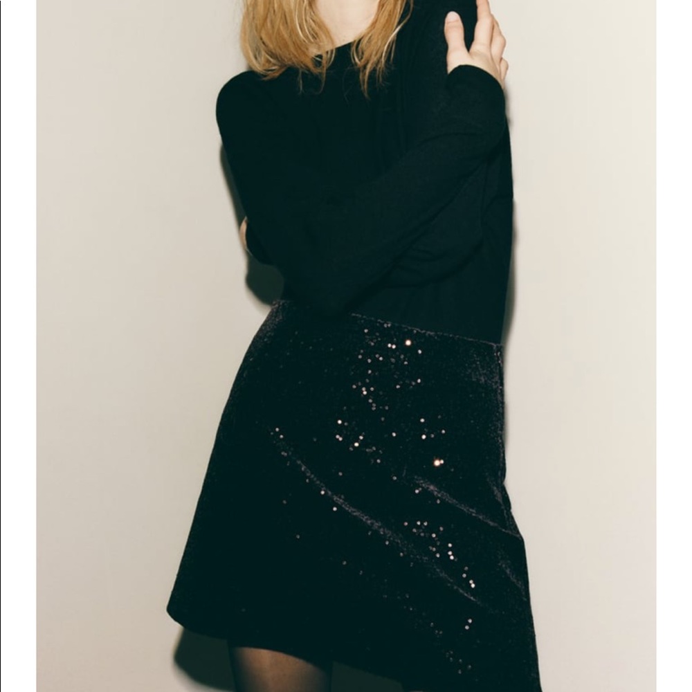 Zara High-Waisted Sequin Mini Skirt